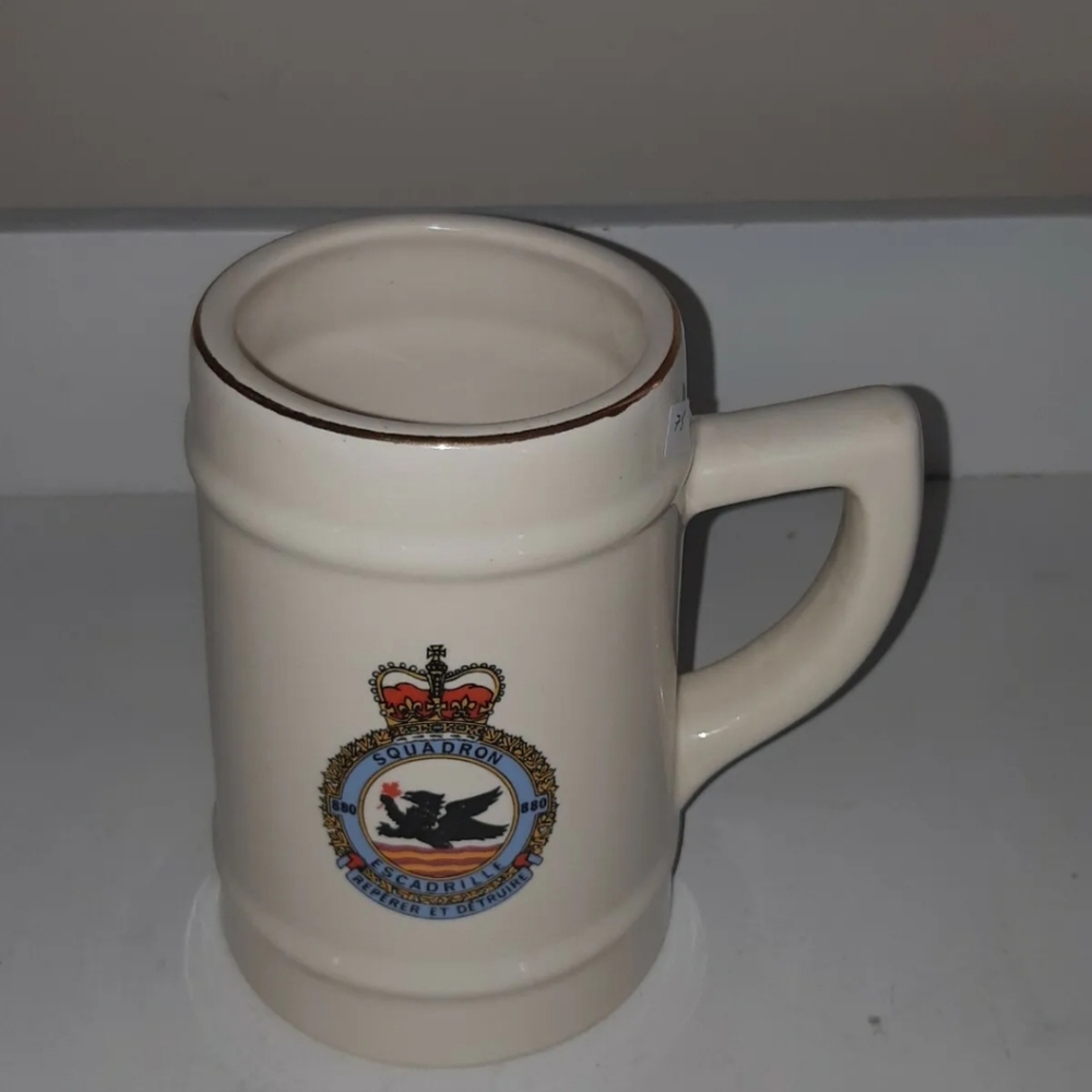 Squadron 880 Escadrille Repérer Et Détruire Mug, 25 years of professionnalism